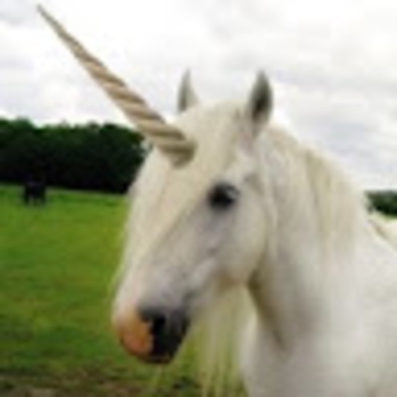 Meet your Posher, Leon - Picture 1 of 1